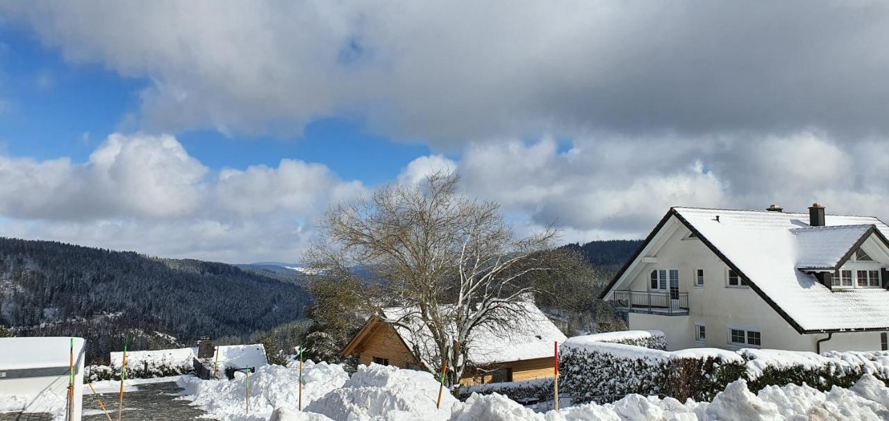 Adlernest Διαμέρισμα Feldberg  Εξωτερικό φωτογραφία